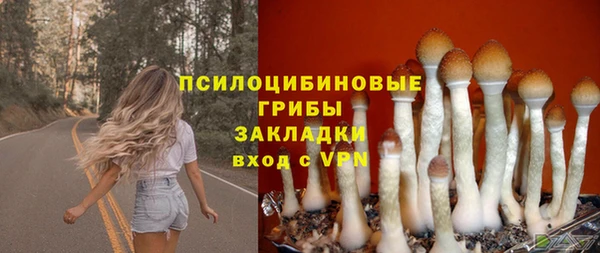твердый Верхний Тагил