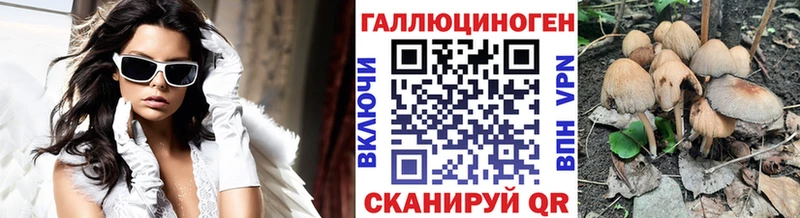 сколько стоит  Кимры  Галлюциногенные грибы Psilocybine cubensis 
